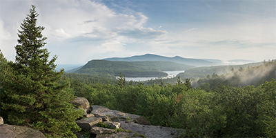 scenic photo of trees and mountains