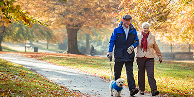 couple walking a dog in a park