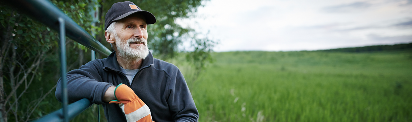 mature man looking at a field