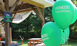 outdoor picnic with balloons