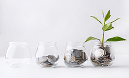 Four glass jars filled with increasing amount of change with rightmost jar sprouting a plant