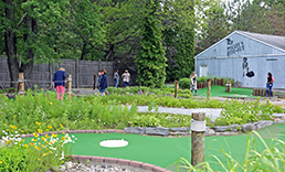 Group of people playing mini golf.