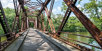 bridge over water and trees